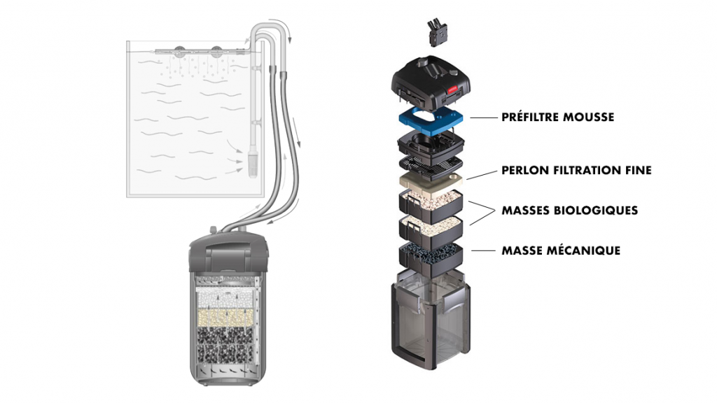 La filtration de l'aquarium – Association Française du Poisson Rouge