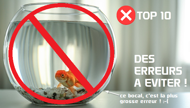 Installer un aquarium pour poisson rouge pour débutant ✓ 